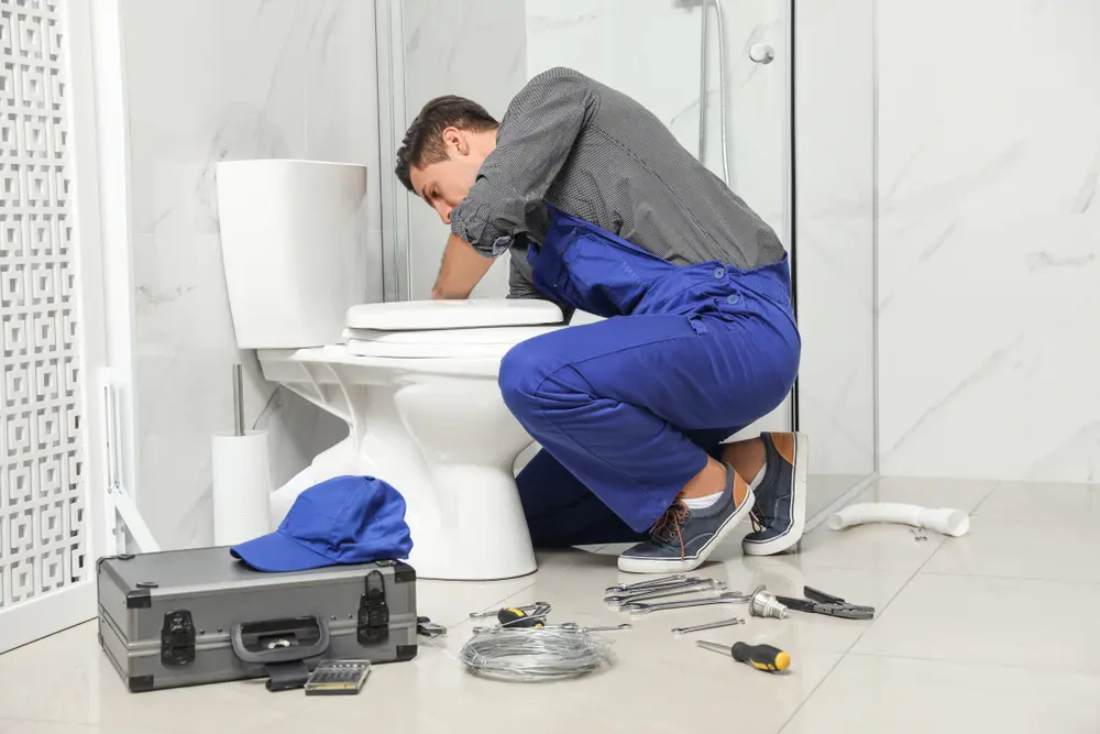Toilet Repair in Ives Estates